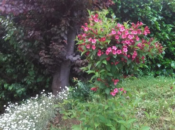 Calecha Feriehus Caboalles de Abajo