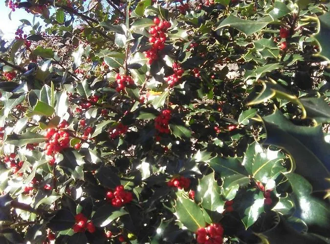 Calecha Holiday home Caboalles de Abajo